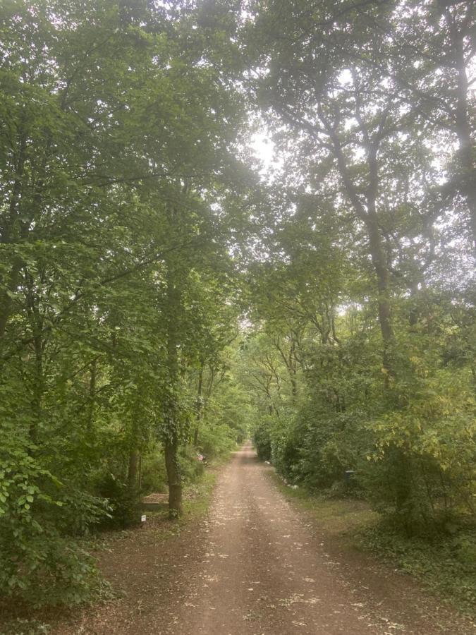 Buitenlust In Het Bos Zuidlaren Exterior photo